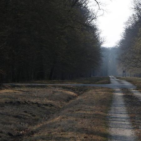 Sobe Pilajevo 2, 183 Ulica Stjepana Radica, Gola公寓 外观 照片