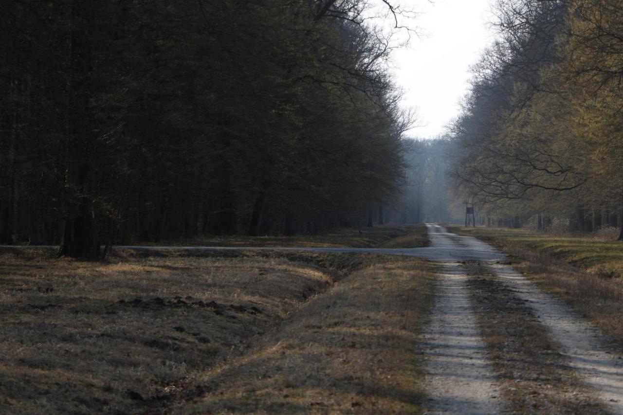 Sobe Pilajevo 2, 183 Ulica Stjepana Radica, Gola公寓 外观 照片